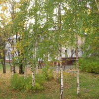 Сыктывкар 2015