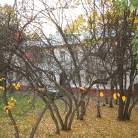 Сыктывкар 2015