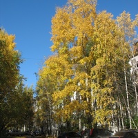 Сыктывкар 2015