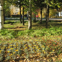 Сыктывкар 2015