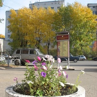 Сыктывкар 2015 - ул. Коммунистическая