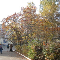 Сыктывкар 2015