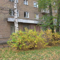 Сыктывкар 2015 - улю Чернова