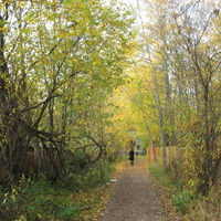 Сыктывкар 2015