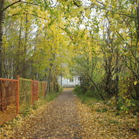 Сыктывкар 2015