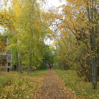 Сыктывкар 2015