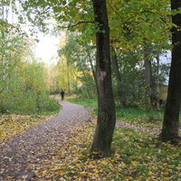 Сыктывкар 2015 - ул. Оплеснина