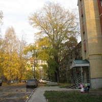 Сыктывкар 2015 - ул. Оплеснина