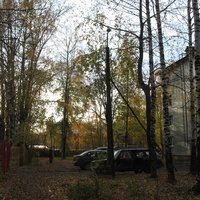 Сыктывкар 2015 - ул. Оплеснина