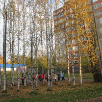 Сыктывкар 2015 - у школы 1