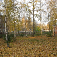 Сыктывкар 2015