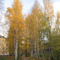 Сыктывкар 2015