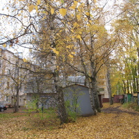 Сыктывкар 2015