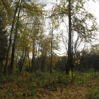 Сыктывкар 2015 - ботанический сад