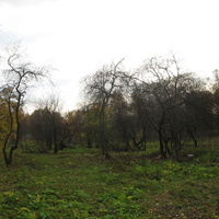 Сыктывкар 2015 - ботанический сад