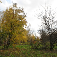 Сыктывкар 2015 - ботанический сад