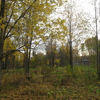 Сыктывкар 2015 - ботанический сад