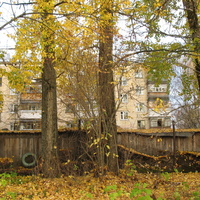 Сыктывкар 2015