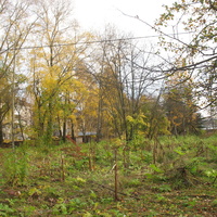 Сыктывкар 2015 - ботанический сад