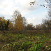 Сыктывкар 2015 - ботанический сад