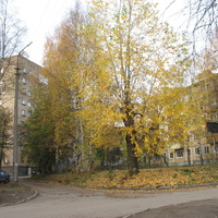 Сыктывкар 2015 - Октябрьский проспект