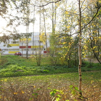 Сыктывкар 2015 - Мичуринский парк