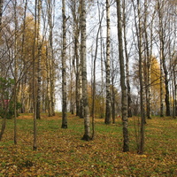 Сыктывкар 2015 - Мичуринский парк