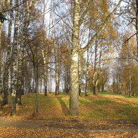 Сыктывкар 2015 - Мичуринский парк