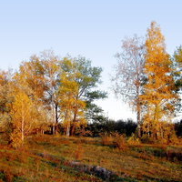 Природа села Петровка