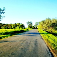 Выезд из села Великая Павловка. Автор Николай Нехан