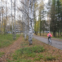 Сыктывкар 2015 - Мичуринский парк