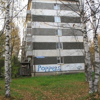 Сыктывкар 2015 - Мичуринский парк