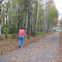 Сыктывкар 2015