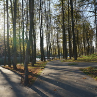 Парк в Расторгуево