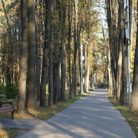 Парк в Расторгуево