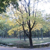 Александровский парк .