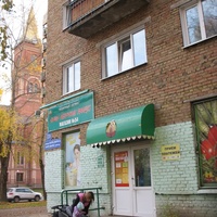 Сыктывкар 2015