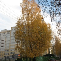 Сыктывкар 2015 - ул. Карла Маркса