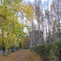 Сыктывкар 2015 - ул. Карла Маркса