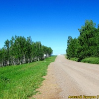 Дорога на Партизанское, 2015г