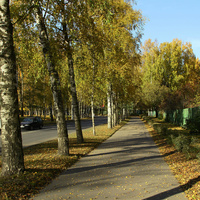 Улица Садовая