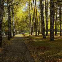 Улица Садовая