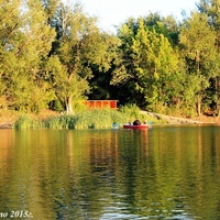 На пруду в Озинках.