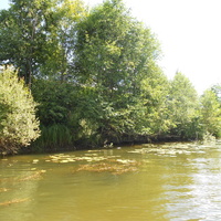 река Ухтома