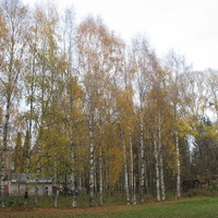 Сыктывкар 2015