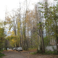 Сыктывкар 2015