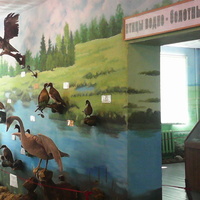 В зале птиц водно-болотных угодий музея «Мир птиц национального парка Мещёра»