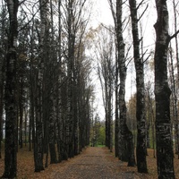 Сыктывкар 2015 - Мичуринский парк