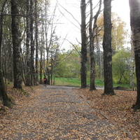 Сыктывкар 2015 - Мичуринский парк