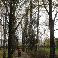 Сыктывкар 2015 - Мичуринский парк